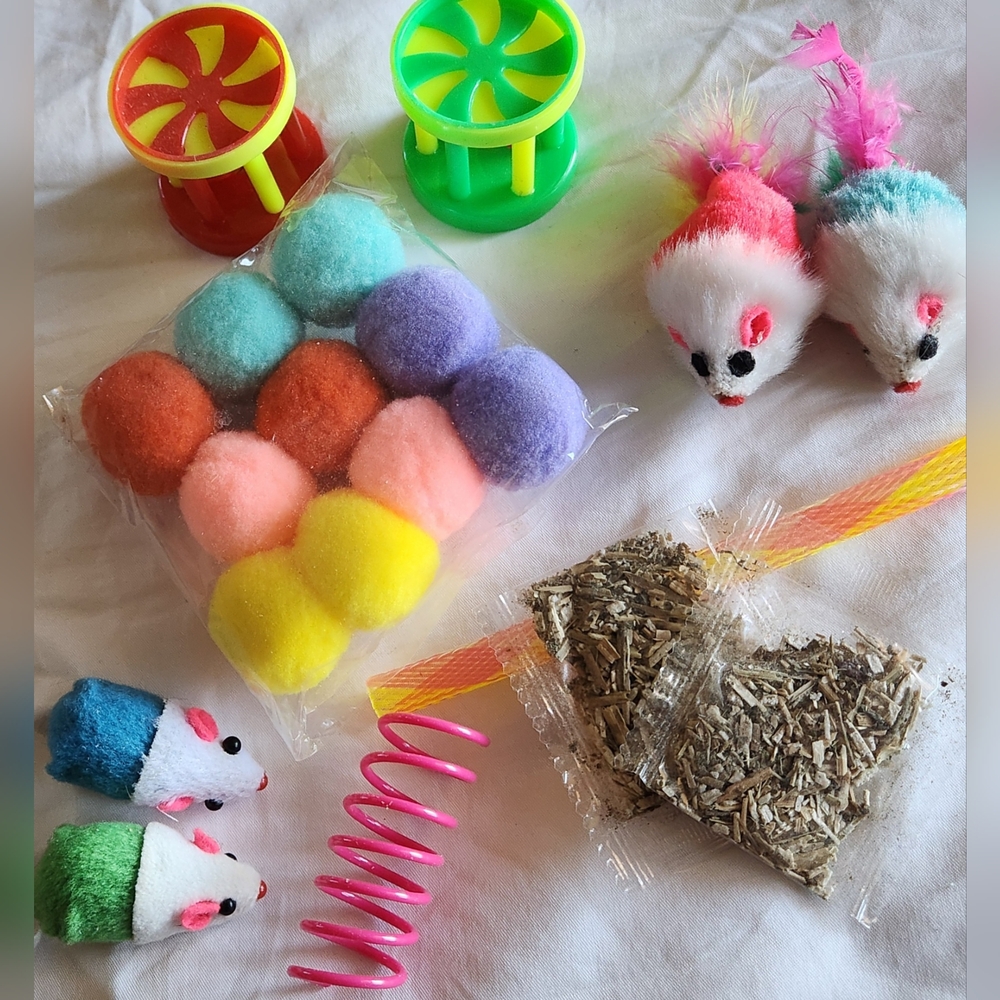 Kitty Catnip Play Kit NWOT